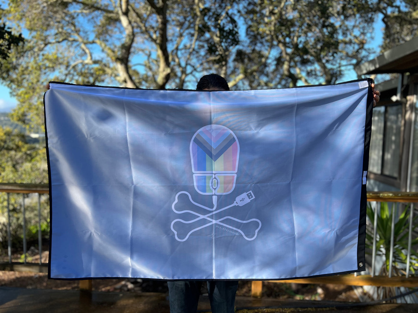 DDoSecrets Pirate Flag